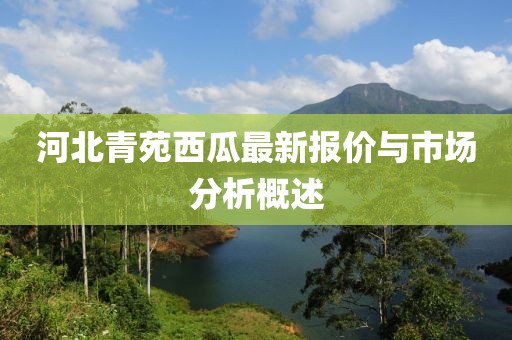 河北青苑西瓜最新报价与市场分析概述