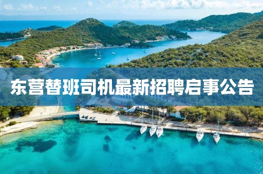 东营替班司机最新招聘启事公告