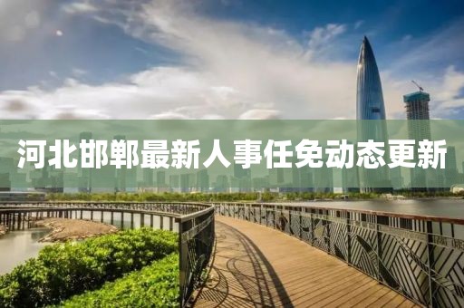 河北邯郸最新人事任免动态更新