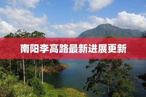南阳李高路最新进展更新
