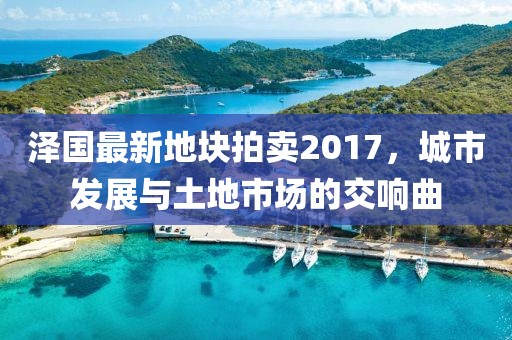 泽国最新地块拍卖2017，城市发展与土地市场的交响曲
