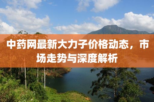 中药网最新大力子价格动态，市场走势与深度解析