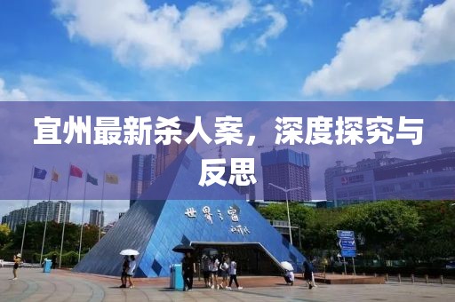 宜州最新杀人案，深度探究与反思