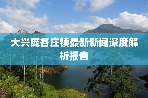 大兴庞各庄镇最新新闻深度解析报告
