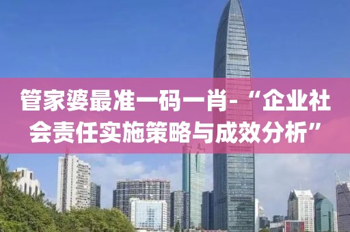 管家婆最准一码一肖-“企业社会责任实施策略与成效分析”