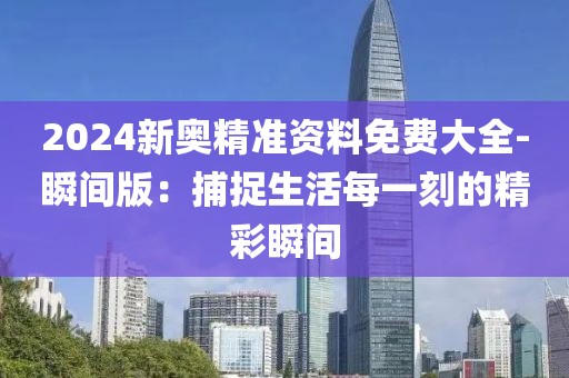 2024新奥精准资料免费大全-瞬间版：捕捉生活每一刻的精彩瞬间