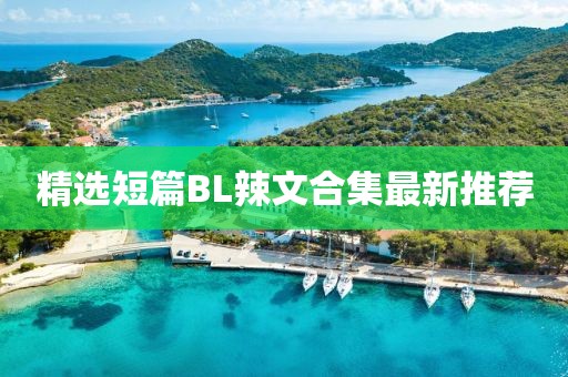 精选短篇BL辣文合集最新推荐