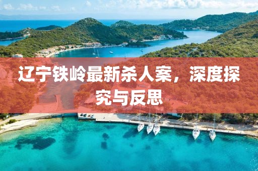 辽宁铁岭最新杀人案，深度探究与反思