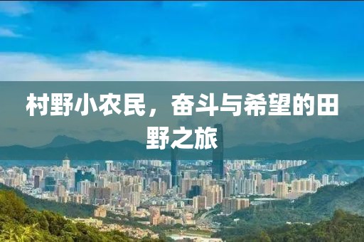 有梦追 第17页
