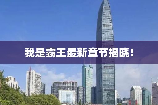 我是霸王最新章节揭晓！