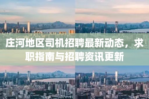 庄河地区司机招聘最新动态，求职指南与招聘资讯更新