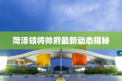 菏泽领将帅府最新动态揭秘