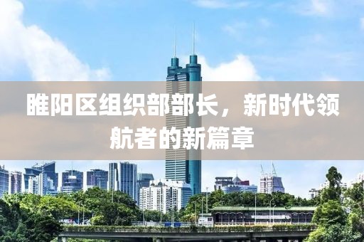 睢阳区组织部部长，新时代领航者的新篇章