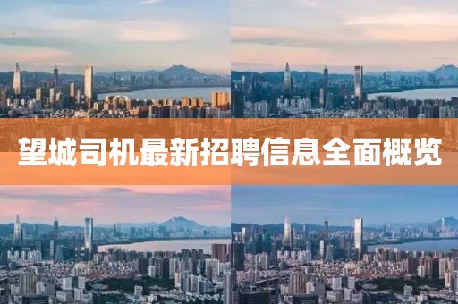 望城司机最新招聘信息全面概览