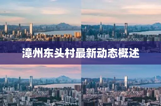 漳州东头村最新动态概述