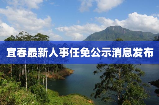 宜春最新人事任免公示消息发布