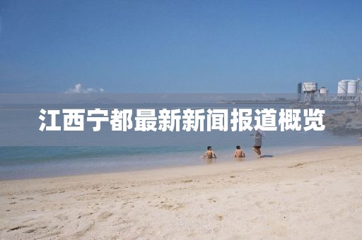 江西宁都最新新闻报道概览