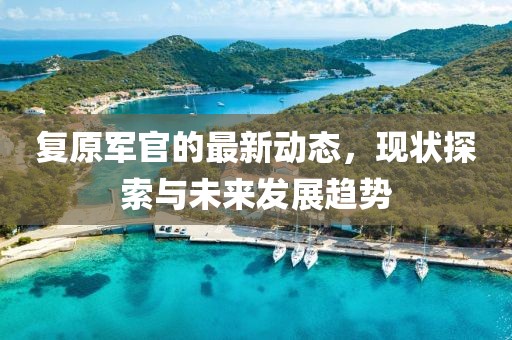 复原军官的最新动态，现状探索与未来发展趋势