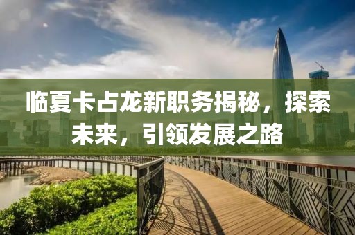 临夏卡占龙新职务揭秘，探索未来，引领发展之路