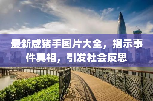 最新咸猪手图片大全，揭示事件真相，引发社会反思