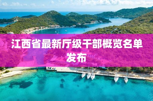 江西省最新厅级干部概览名单发布
