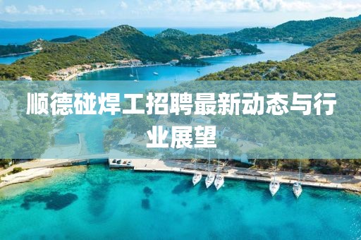 顺德碰焊工招聘最新动态与行业展望