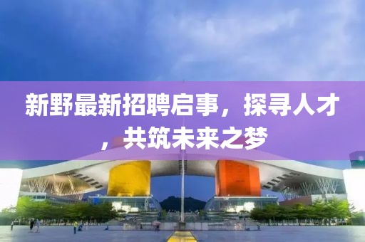 新野最新招聘启事，探寻人才，共筑未来之梦