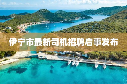 伊宁市最新司机招聘启事发布