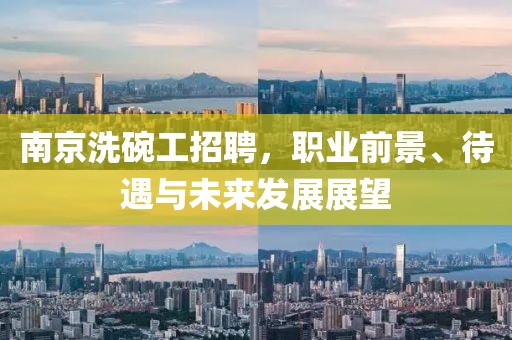 南京洗碗工招聘，职业前景、待遇与未来发展展望