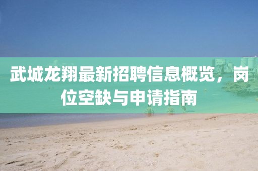 武城龙翔最新招聘信息概览，岗位空缺与申请指南