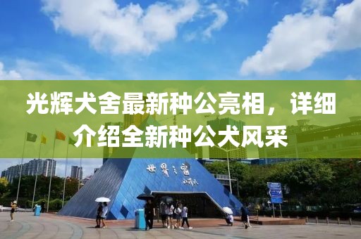 光辉犬舍最新种公亮相，详细介绍全新种公犬风采