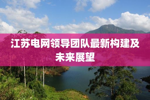 江苏电网领导团队最新构建及未来展望
