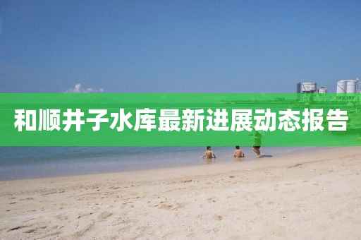 和顺井子水库最新进展动态报告