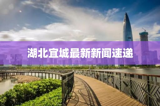 湖北宜城最新新闻速递