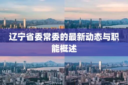 辽宁省委常委的最新动态与职能概述