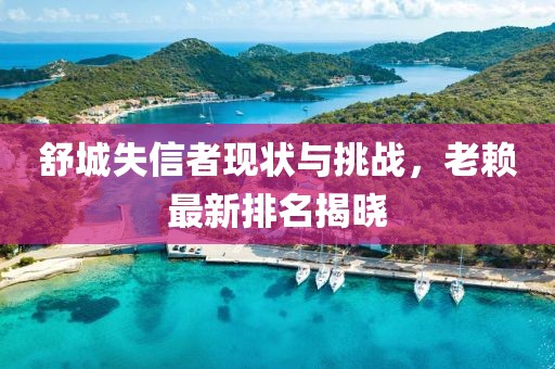 舒城失信者现状与挑战，老赖最新排名揭晓