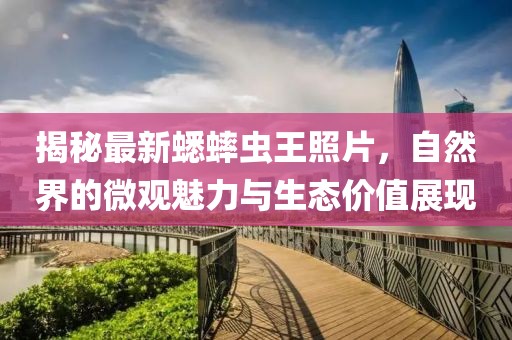 揭秘最新蟋蟀虫王照片，自然界的微观魅力与生态价值展现