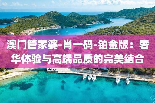 澳门管家婆-肖一码-铂金版：奢华体验与高端品质的完美结合