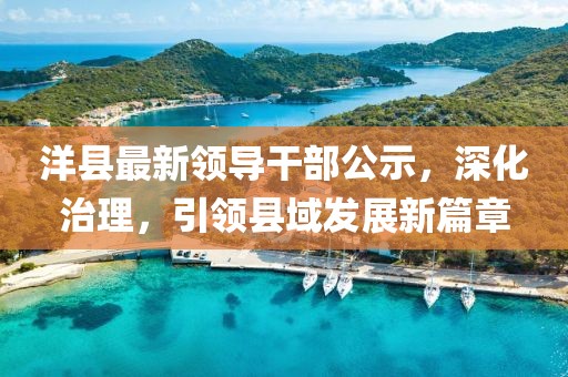 洋县最新领导干部公示，深化治理，引领县域发展新篇章