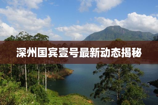 深州国宾壹号最新动态揭秘