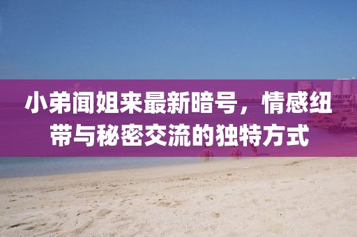 小弟闻姐来最新暗号，情感纽带与秘密交流的独特方式