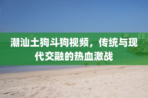潮汕土狗斗狗视频，传统与现代交融的热血激战