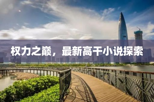 权力之巅，最新高干小说探索