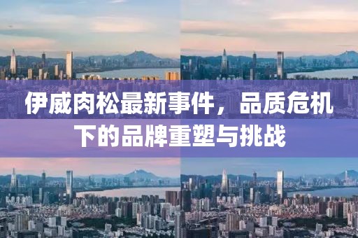 伊威肉松最新事件，品质危机下的品牌重塑与挑战