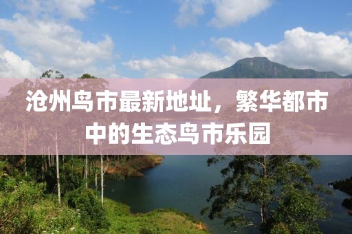 沧州鸟市最新地址，繁华都市中的生态鸟市乐园