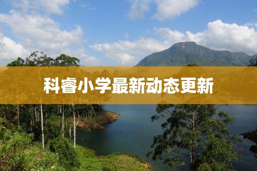 科睿小学最新动态更新