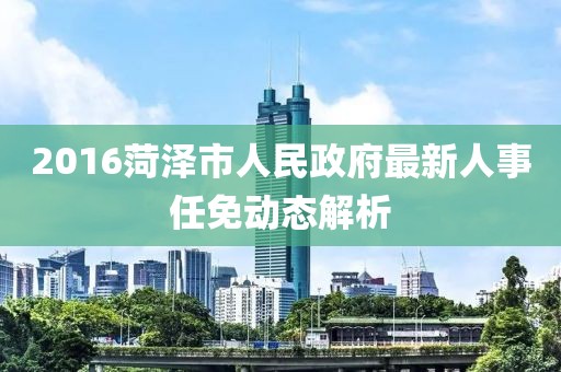 2016菏泽市人民政府最新人事任免动态解析