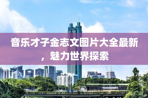 音乐才子金志文图片大全最新，魅力世界探索
