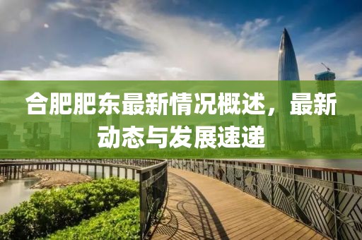 合肥肥东最新情况概述，最新动态与发展速递