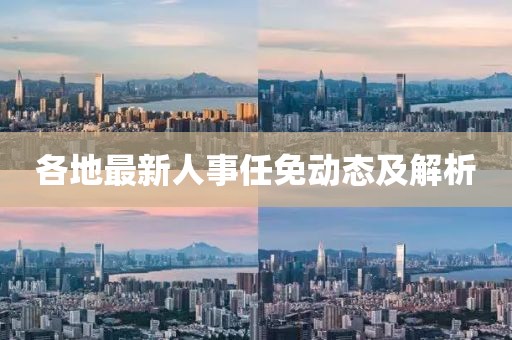 各地最新人事任免动态及解析
